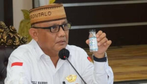 Rusli Habibie