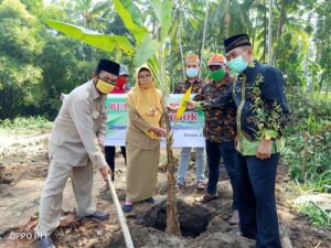 Pisang Ambon