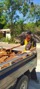 Kulit Sapi