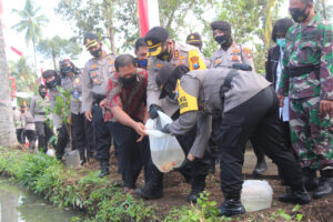 Penaburan Ikan