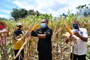 Ridwan Yasin Jagung