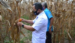 Desa Pulubala jadi Desa Binaan BNNP Gorontalo