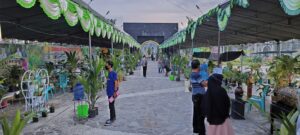 Festival Kelapa