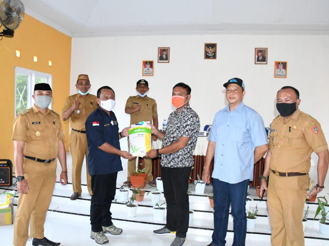 Ridwan Yasin Serahkan Bantuan Jagung