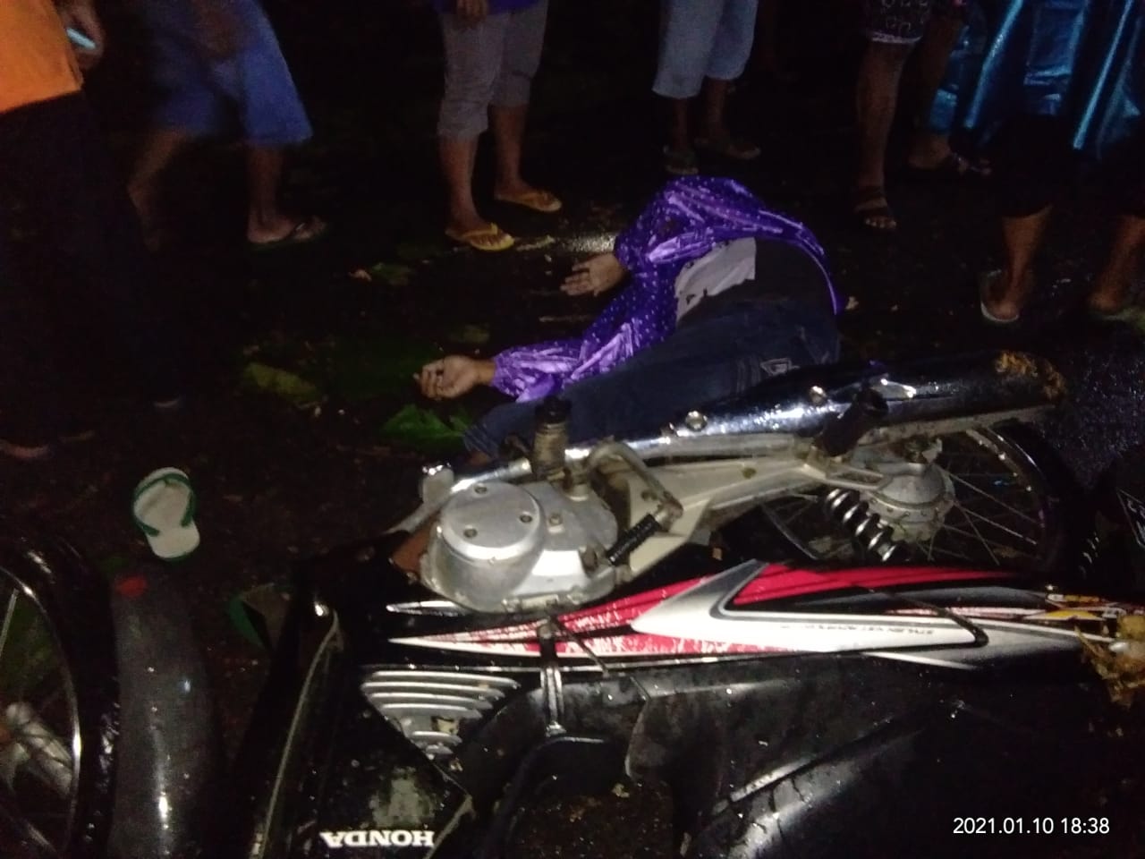 Korban Pohon Tumbang di Kab. Madiun