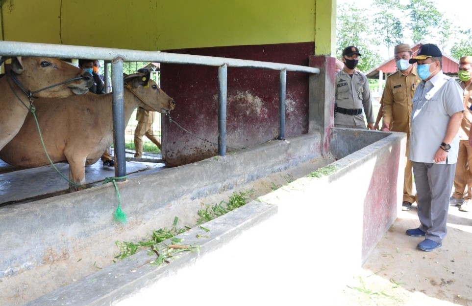 Sarpras Balai Perbibitan Ternak di Gorontalo terus Dibenahi