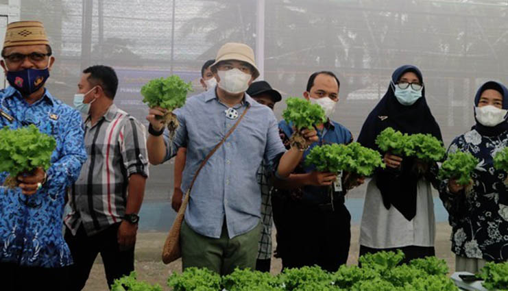 Hamim Pou Dukung Pengembangan Tanaman Hidroponik di Bone Bolango