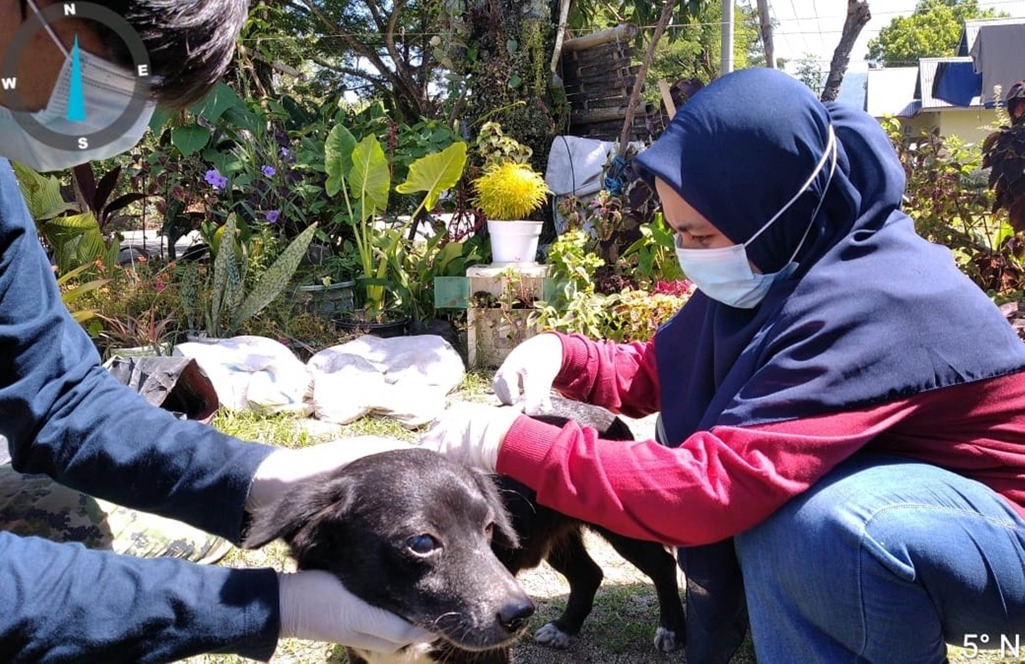 Cegah Rabies, Distannak Bone Bolango Vaksin Hewan Peliharaan