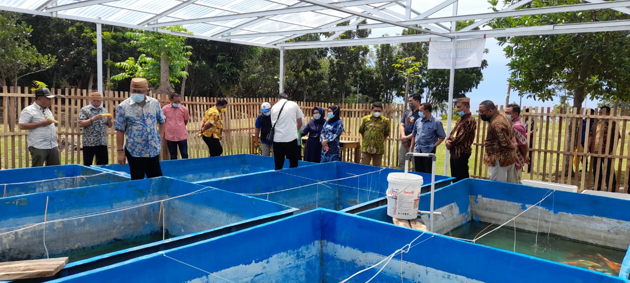 DPRD Provinsi Gorontalo Meninjau Lokasi Budi Daya Ikan Koi