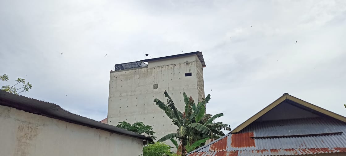 Ini Alasan Utama Pemkab Gorontalo Kenakan Pajak Usaha Burung Walet