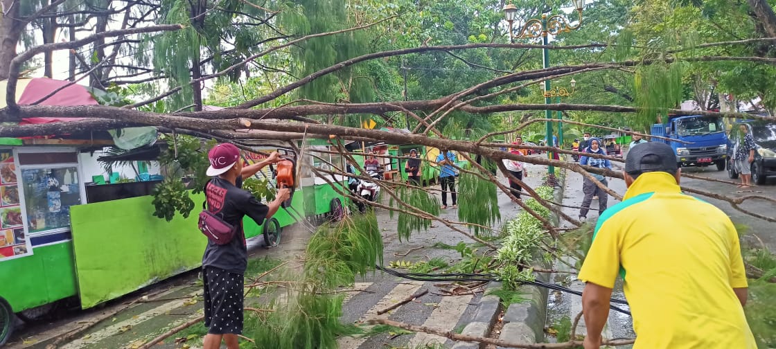 Petugas dari Dinas DLH Kabupaten Gorontalo Memotong Ranting Pohon yang Tumbang
