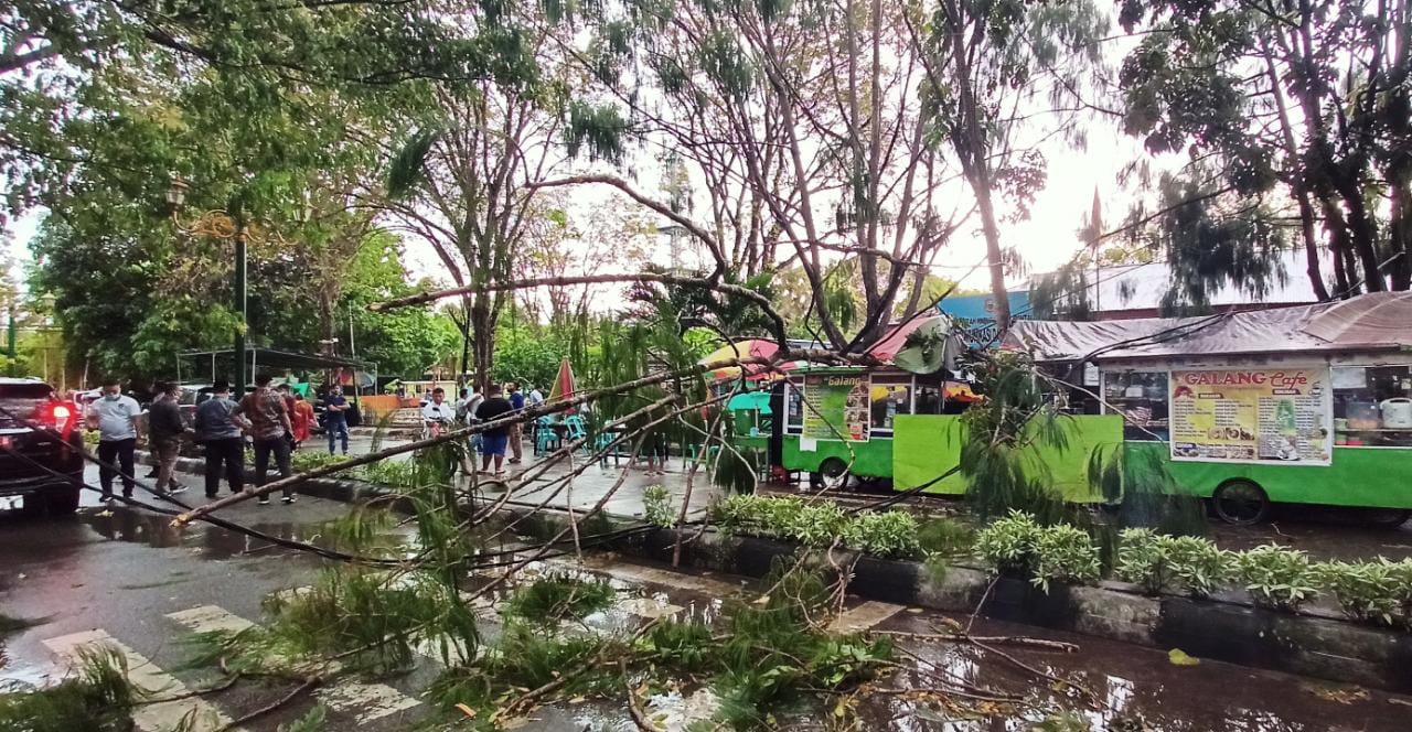 Satu Gerobak Jualan di Limboto Tertimpa Ranting Pohon