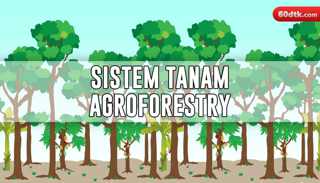 DLH Minta Masyarakat Tani Terapkan Sistem Tanam Agroforestry
