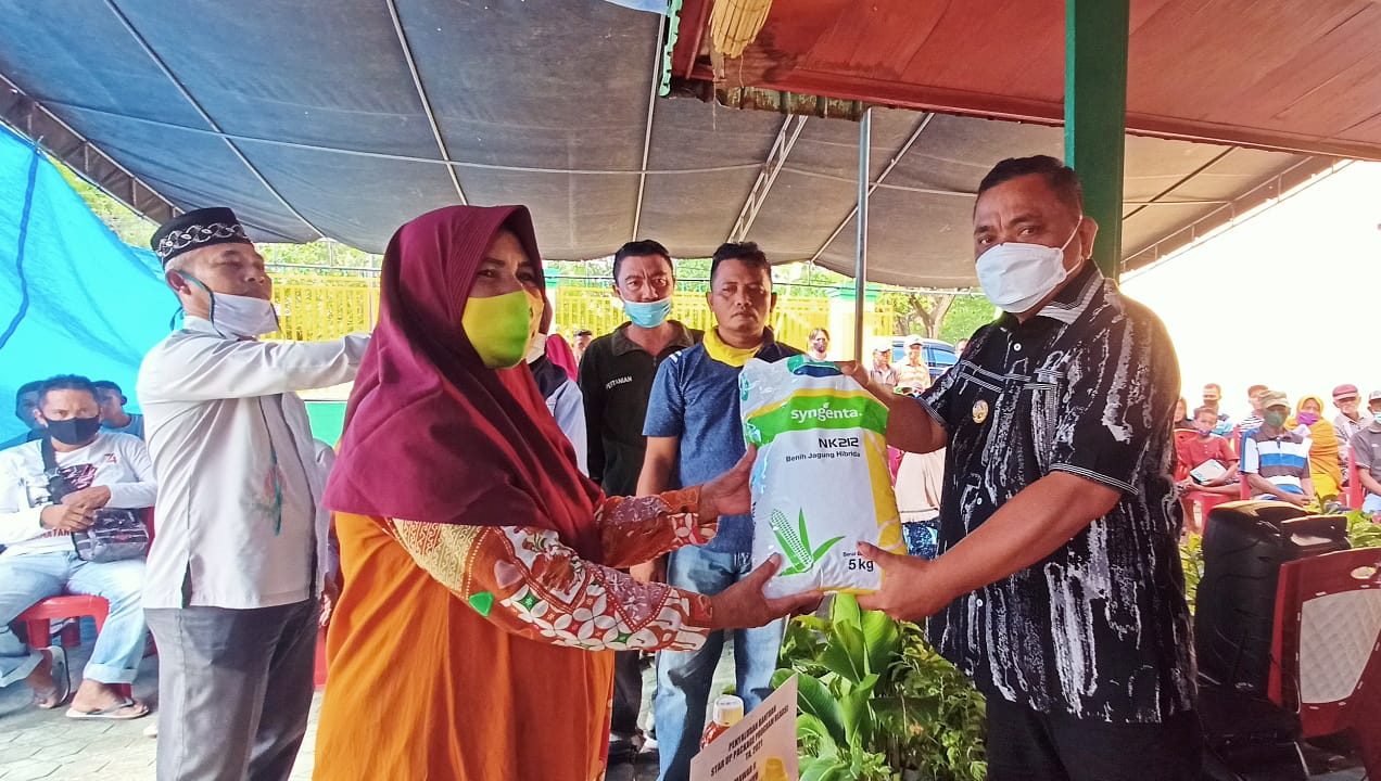 Ratusan Petani di Kabupaten Gorontalo Terima Bantuan Pertanian Program READSI