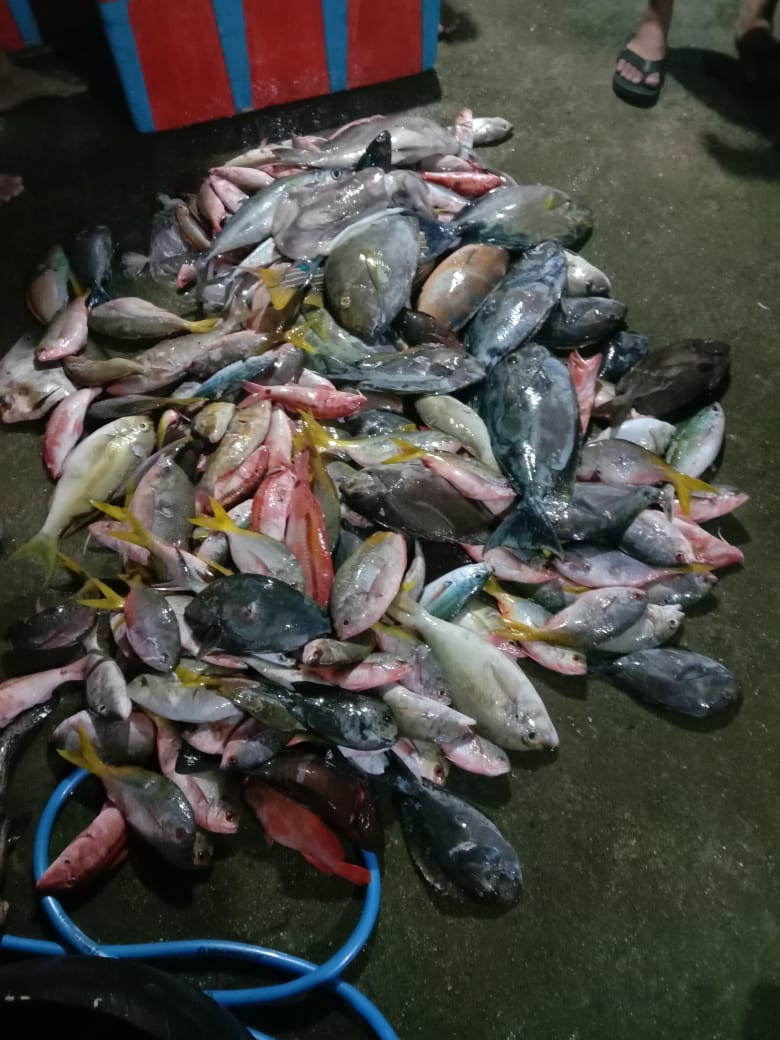 Cuaca Kurang Bersahabat, Produksi Perikanan di Gorontalo Utara Menurun