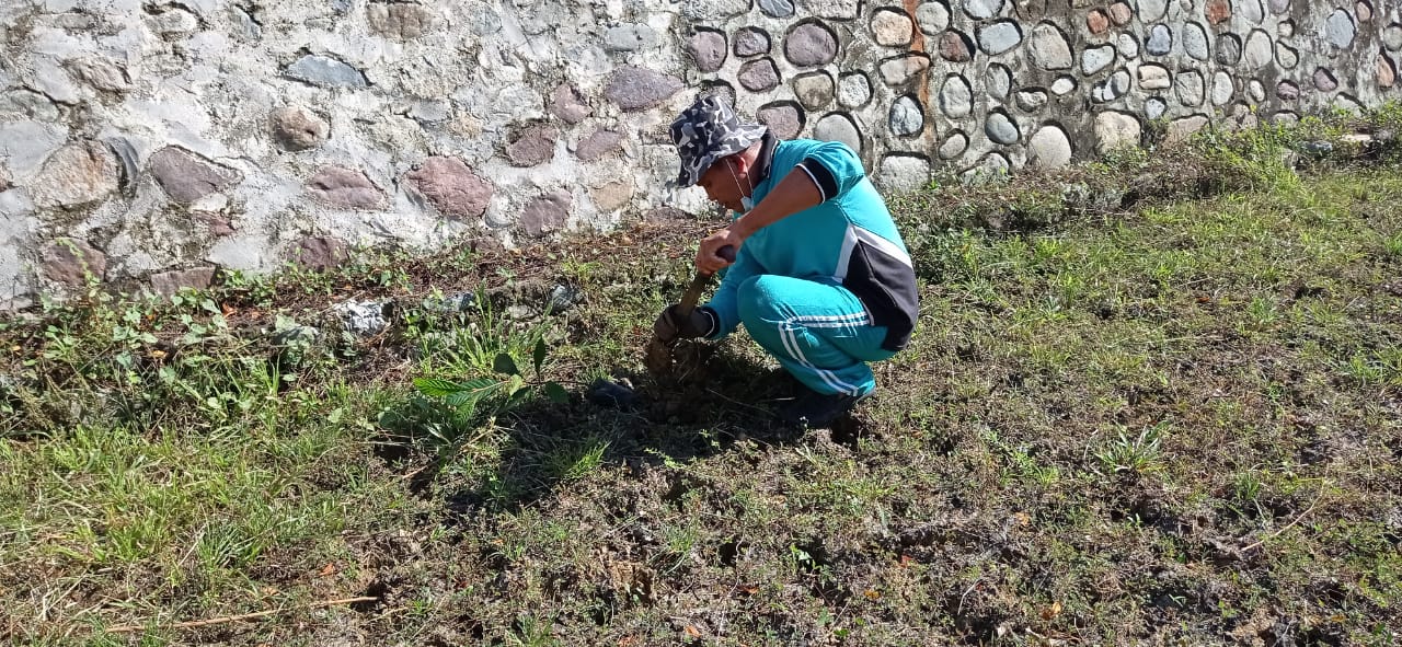 DLH Gorontalo Utara Tanam Pohon di Lingkungan RSUD ZUS