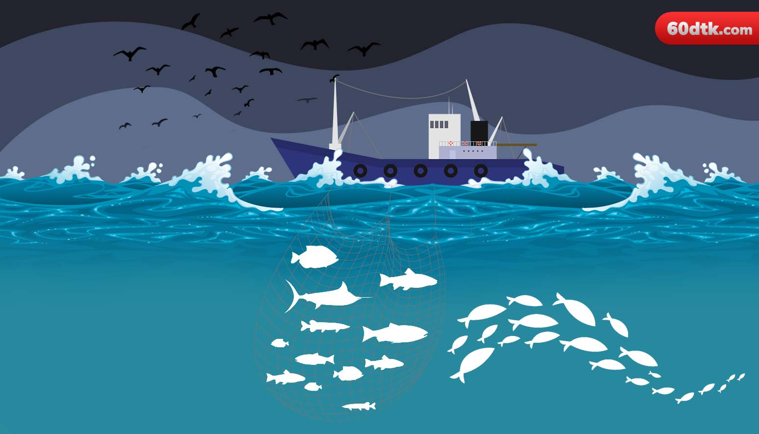 Ilustrasi Ilegal Fishing