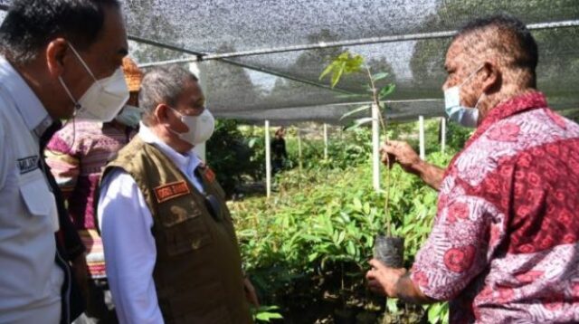 Budidaya Durian Sangat Prospektif dan Menjanjikan