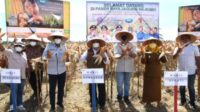 Tingkatkan Produktivitas Jagung di Gorontalo, Idris Rahim Apresiasi KNPI