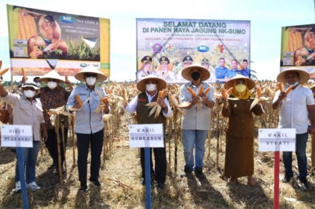 Tingkatkan Produktivitas Jagung di Gorontalo, Idris Rahim Apresiasi KNPI