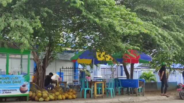Pedagang Liar dan Ilegal