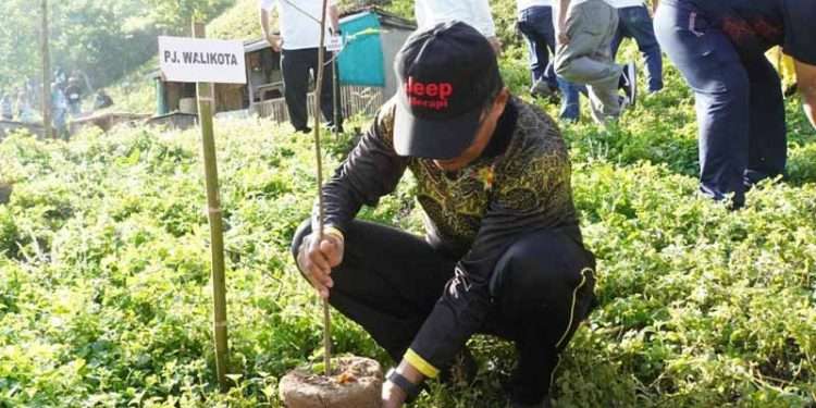 KORPRI Kota Gorontalo Rayakan HUT Ke - 53 dengan Aksi Tanam Bibit Pohon