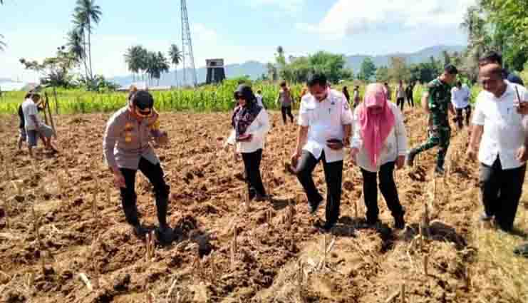 Kota Gorontalo Sambut Baik Program Ketahanan Pangan
