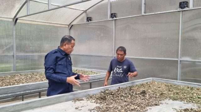 Ridwan Monoarfa Dorong Masyarakat Gorontalo Bertani Nilam