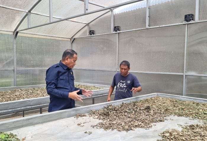 Ridwan Monoarfa Dorong Masyarakat Gorontalo Bertani Nilam
