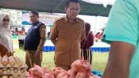 GPM Dinas Ketahanan Pangan Penuhi Kebutuhan Warga di Padebuolo