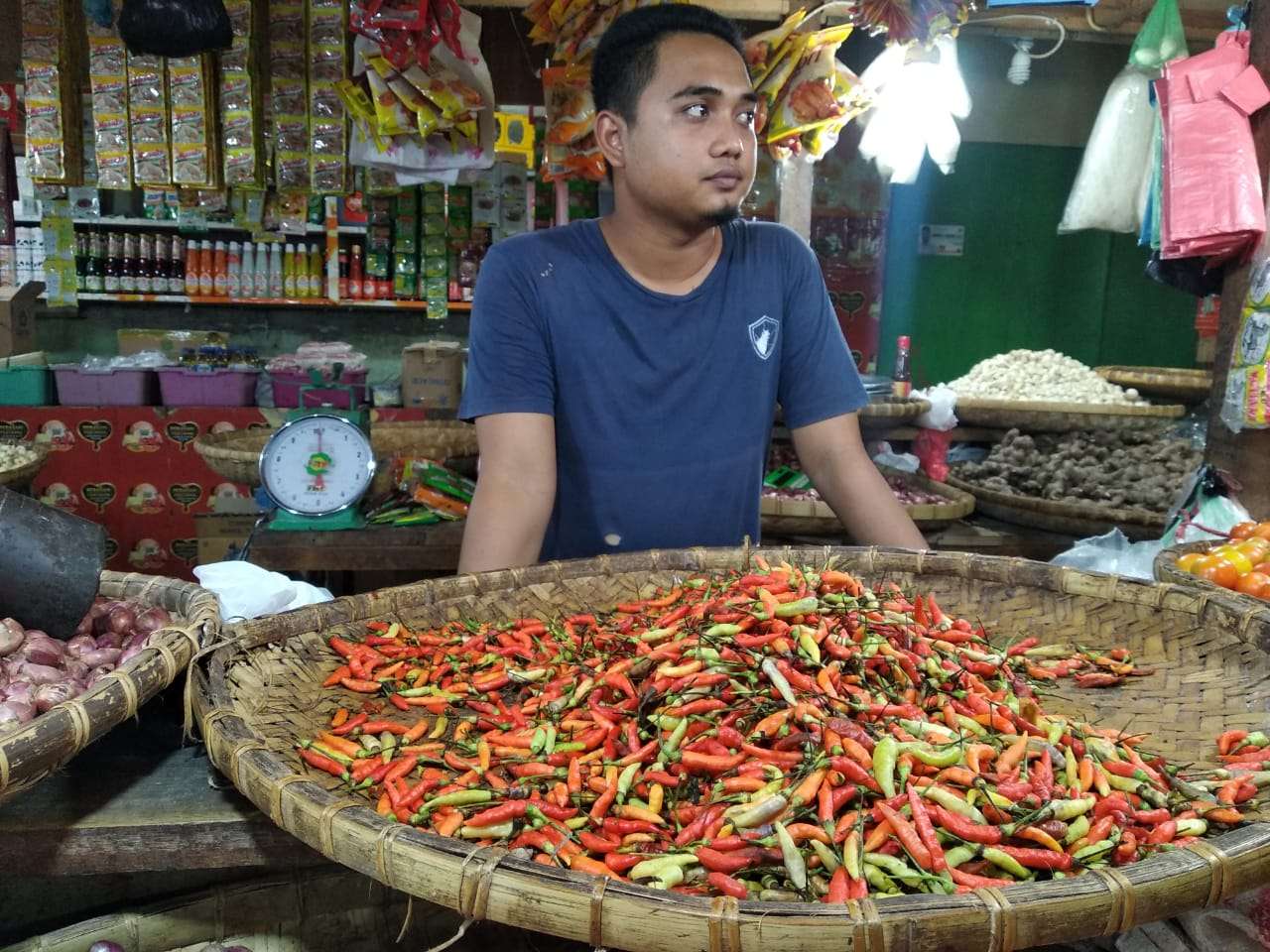 Harga Cabai di Gorontalo Alami Penurunan Harga