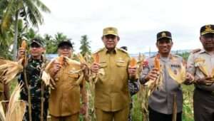 Gubernur minta Bulog Gorontalo Beli Jagung dengan Harga Rp5.500 per Kilogram