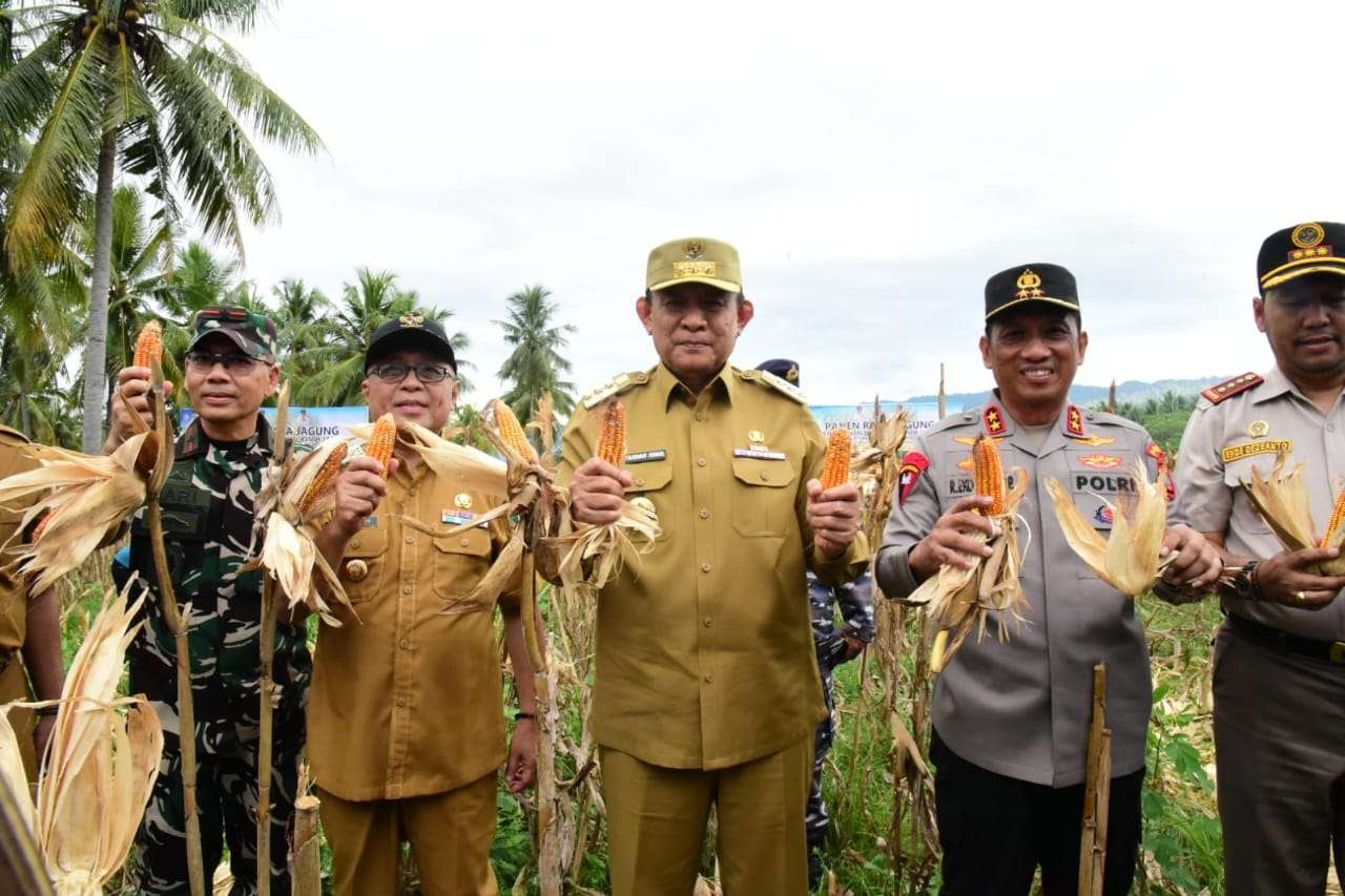 Gubernur minta Bulog Gorontalo Beli Jagung dengan Harga Rp5.500 per Kilogram