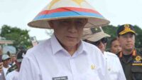 Gusnar Ismail Optimis Serapan Gabah dan Beras Capai Target