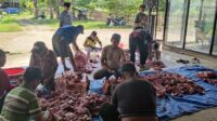 Idul Adha 2025, Dinas Ketahanan Pangan Sembelih 3 Ekor Sapi