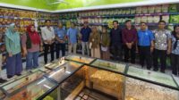 Cegah Peredaran Beras Oplosan, Dinas Ketahanan Pangan Lakukan Pengecekan dan Pengawasan