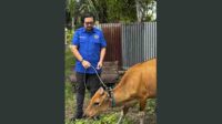 Menembus Peta Indonesia, Gerak dan Peran Anak Muda dari Gorontalo