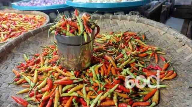 Harga Cabe Rawit Naik, Ramdhan Pade Pastikan Stok Aman Hingga 3 Bulan