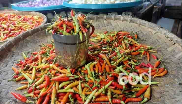 Harga Cabe Rawit Naik, Ramdhan Pade Pastikan Stok Aman Hingga 3 Bulan