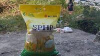 Soal Kualitas Beras SPHP, Begini Penjelasan Dinas Ketahanan Pangan