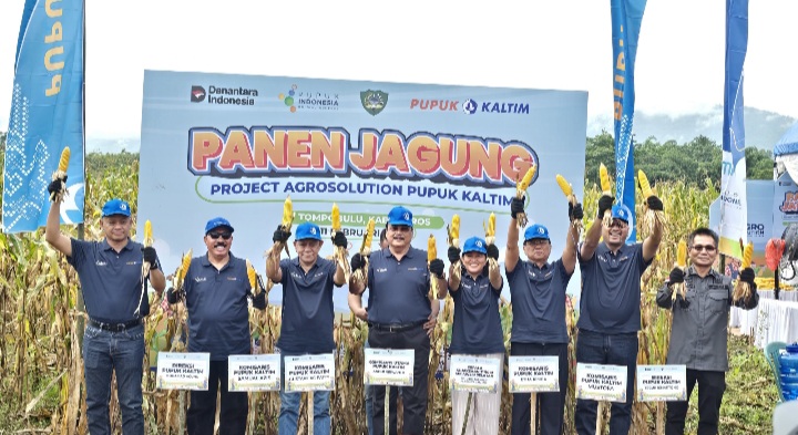 Produktivitas Jagung Maros Melonjak, Agrosolution Pupuk Kaltim Catat Kenaikan 140 Persen