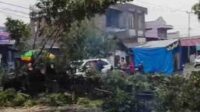Gercep, BPBD dan Lurah Tangani Pohon Tumbang di Jalan Sam Ratulangi
