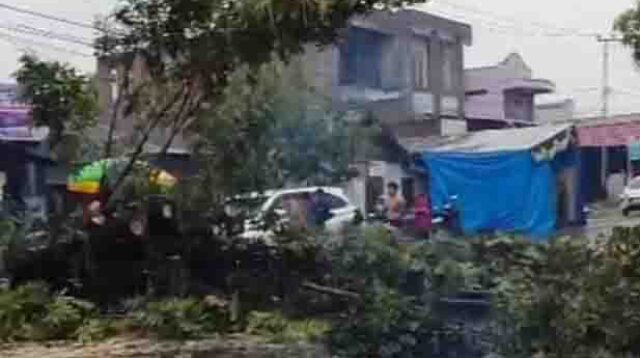 Gercep, BPBD dan Lurah Tangani Pohon Tumbang di Jalan Sam Ratulangi