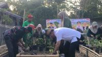 Tak Mau Kalah dengan Harga Pasar, Bone Bolango Dorong Warga Jadi Petani Cabai Rumahan