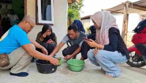 Cuma 2 Bulan, Lebah Madu Trigona di Gorut Langsung Panen