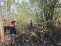 Penanggulangan Karhutla di Bone Bolango Terus Dilakukan, Tim Gabungan Diterjunkan