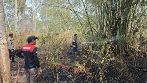 Penanggulangan Karhutla di Bone Bolango Terus Dilakukan, Tim Gabungan Diterjunkan